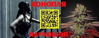 apvp Краснодар